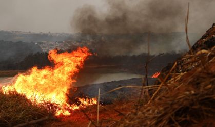 São Paulo terá risco máximo de emergência para incêndios em quase todas as regiões; veja mapa