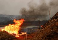 Operação em SP está concluída, mas Forças Armadas seguem de prontidão, diz Múcio sobre incêndios