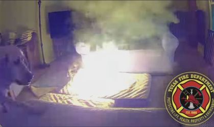 Cachorro morde bateria portátil e causa incêndio em casa nos EUA