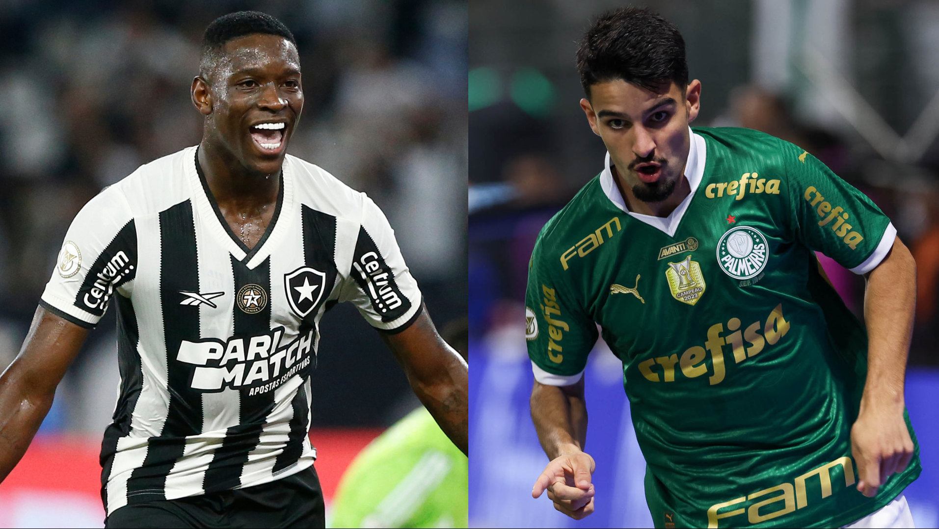 Botafogo e Palmeiras se enfrentam pelo Campeonato Brasileiro