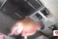 Vídeo: Diretor de construtora agride esposa na frente da filha de 3 anos