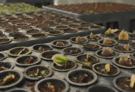 Projeto de gestão hídrica em Minas Gerais já é exemplo para mais de 400 cidades