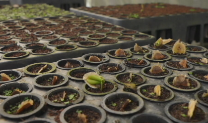 Projeto de gestão hídrica em Minas Gerais já é exemplo para mais de 400 cidades