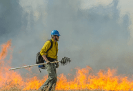 Flávio Dino marca audiência com representantes de dez estados para acompanhar medidas sobre incêndios
