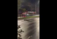 Vídeo: homem foge a cavalo da polícia em Porto Alegre; animal foi atropelado e morreu