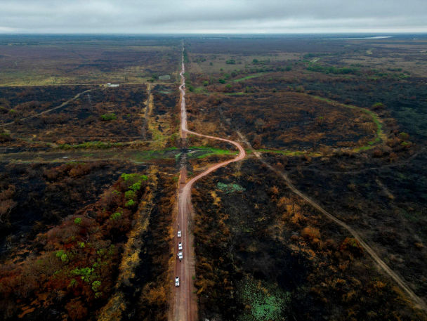 Aumento de 105% no número de focos de calor e de área queimada em todos os biomas