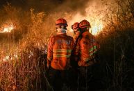 Brasil e Bolívia somarão forças contra incêndios em região fronteiriça