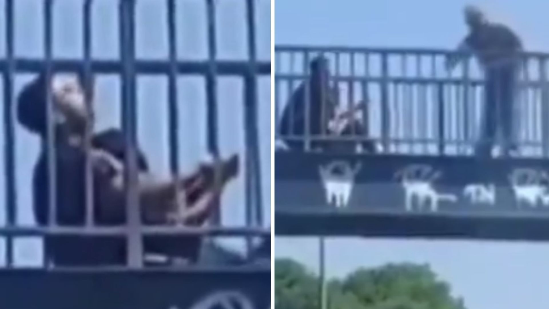 Bandido faz mulher de refém durante assalto em cima de passarela no Rio de Janeiro • Arquivo Pessoal