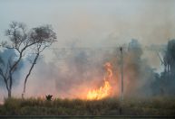 São Paulo e Mato Grosso lideram prejuízos no agronegócio por queimadas