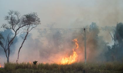 SP tem maior número de queimadas em agosto desde o início da série histórica