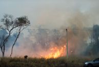 Defesa Civil de SP alerta para risco elevado de incêndios em quase todo estado