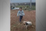 Família venezuelana morre em queda de avião; vídeo mostra menino brincando com cachorrinha antes do acidente