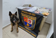 Loja do tráfico: dupla é presa após cão descobrir galpão que armazenava drogas