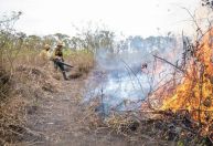 PF abre 32 inquéritos para investigar origem de incêndios florestais no país