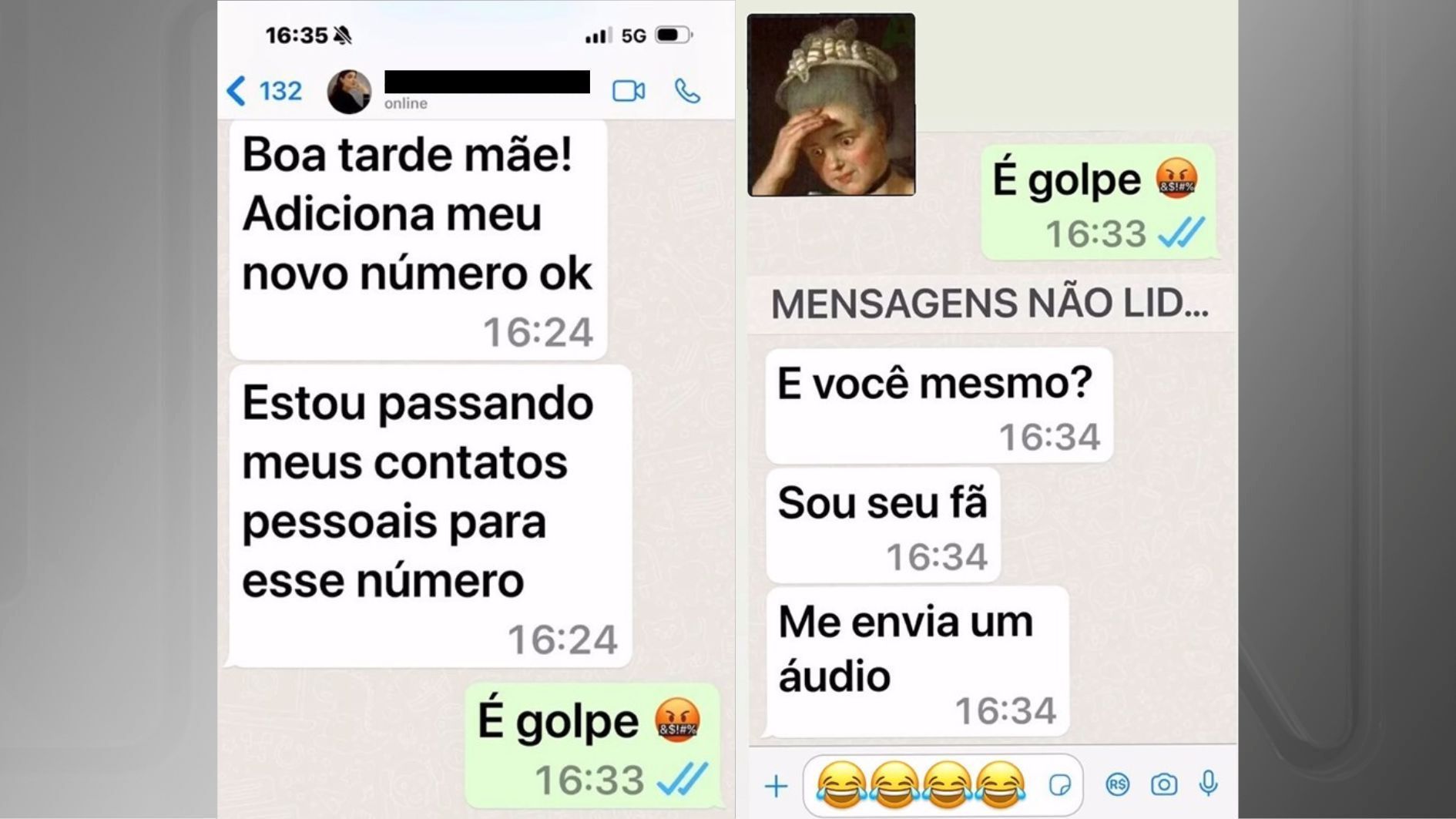 Após tentar dar golpe pelo WhatsApp, estelionatário disse ser fã da atriz Lilia Cabral / Reprodução