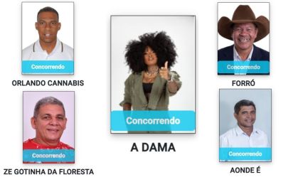 Eleições 2024: candidatos escolhem nomes inusitados para constar na urna; confira lista