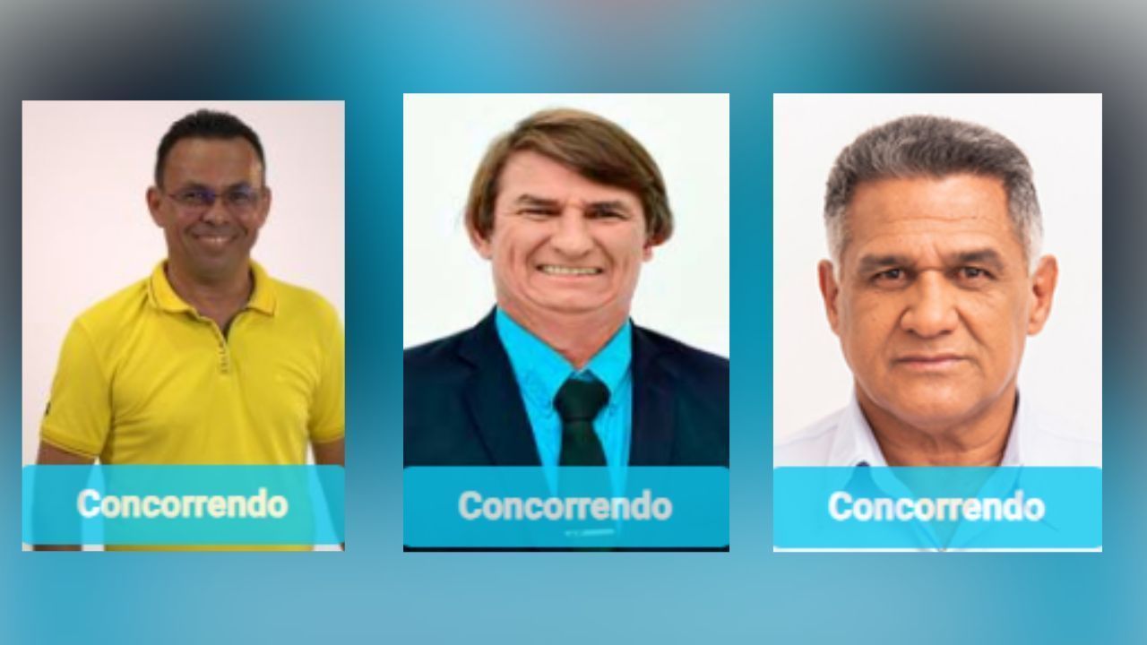 Deilson Bolsonaro, Bolsonaro Sergipano e Joany Bolsonaro são candidatos a vereador nas eleições de 2024