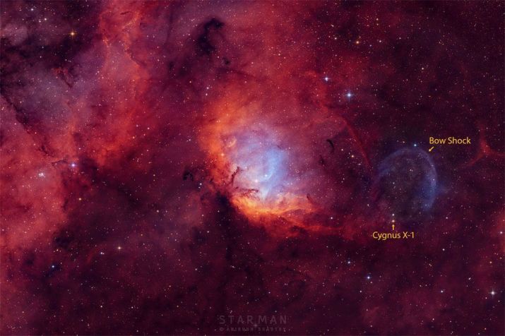 Nebulosa da Tulipa e buraco negro Cygnus X-1 • Foto: Anirudh Shastry/Nasa