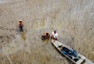 Pescador ficar três dias encalhado na lama após seca no Rio Solimões; veja vídeo do resgate