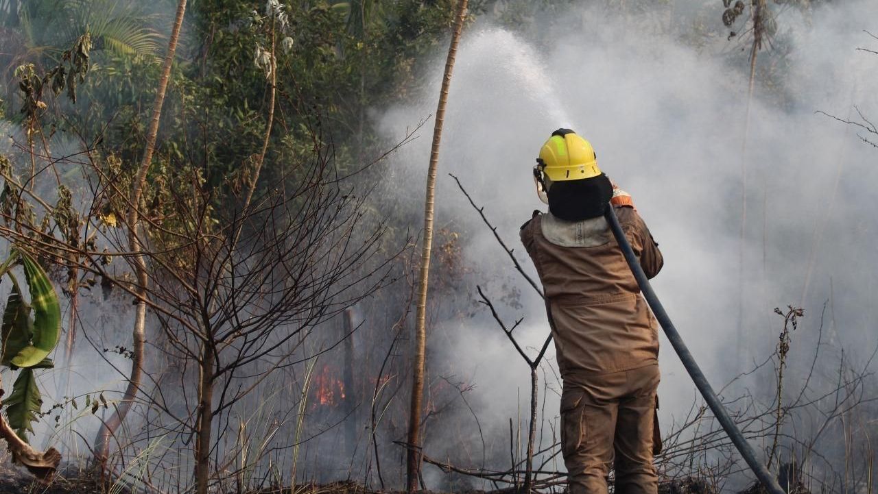 Agente do Corpo de Bombeiros combate incêndio florestal no Amazonas