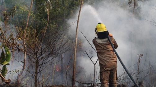 Agente do Corpo de Bombeiros combate incêndio florestal no Amazonas