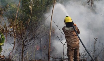 Em dois meses, bombeiros combateram mais de 4.200 focos de incêndios no Amazonas