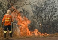 Fogo no Pantanal avança quase 400 mil hectares em uma semana e bloqueia rodovia