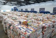 Estiagem no Amazonas já afeta mais de 88 mil pessoas e municípios receberão ajuda humanitária