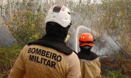 WhatsApp Image 2024-08-21 at 06.45.48