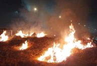 DF tem 203 incêndios e 284 hectares de área queimada neste fim de semana