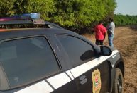 Sobe para 10 o número de presos por atear fogo em vegetação no interior de SP