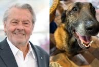 Família de Alain Delon se recusa a sacrificar cachorro após pedido do ator