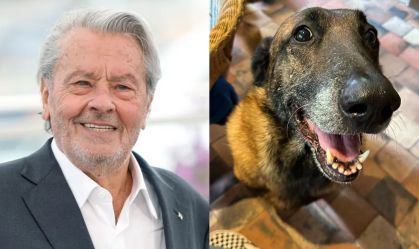 Alain Delon pediu que cão fosse sacrificado após sua morte; entenda