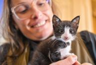 RS anuncia plano de parceria com abrigos para cães e gatos afetados pelas enchentes