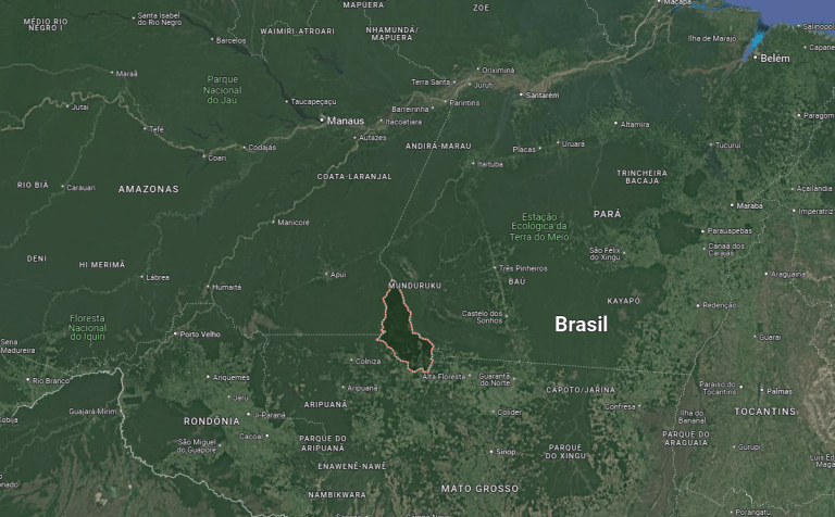Local onde avião caiu fica na divisa entre Mato Grosso, Amazonas e Pará / Reprodução/Google Maps