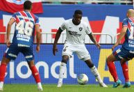 Botafogo para na trave, empata com Bahia e perde liderança do Brasileirão