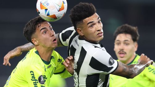 Lance de Botafogo 2 x 1 Palmeiras pela Libertadores