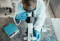 Produção científica brasileira caiu em 2023; pesquisadores indicam como reverter