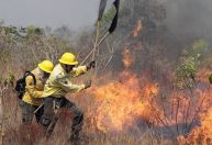 Custo das forças de segurança para combate a incêndios aumenta 400%
