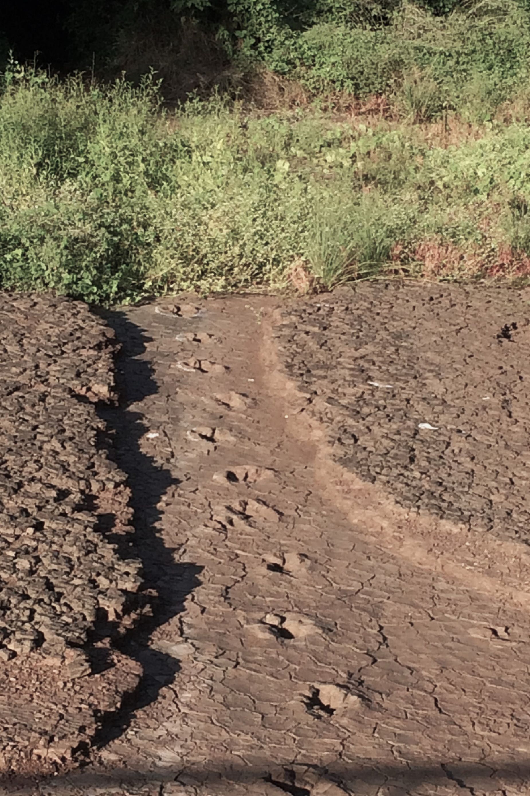 Pegadas de dinossauro pertencentes a um terópode são visíveis na Bacia de Sousa. • Foto: Ismar de Souza Carvalho