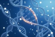 Computador de DNA consegue resolver sudoku e jogar xadrez