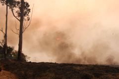 Incêndios pelo estado de São Paulo podem prejudicar distribuição de energia da região