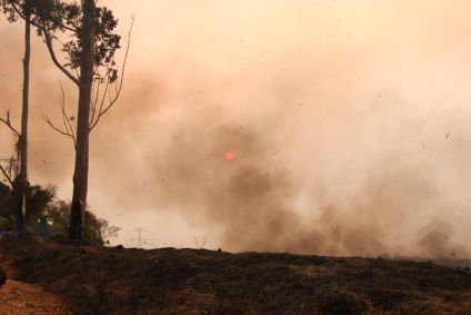 Incêndios pelo estado de São Paulo podem prejudicar distribuição de energia da região