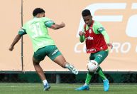 Palmeiras: Estêvão vai a campo e pode encarar Botafogo, mas clube faz mistério