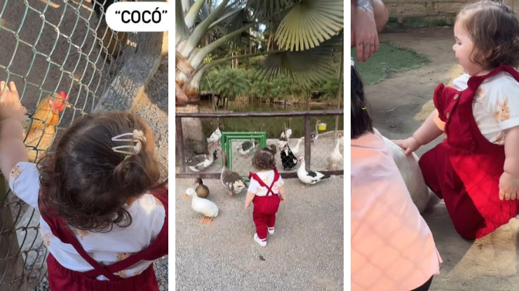 Lua em visita à fazenda / Instagram/ Viih Tube
