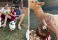 Filha de Viih Tube conhece animais em visita à fazenda; veja