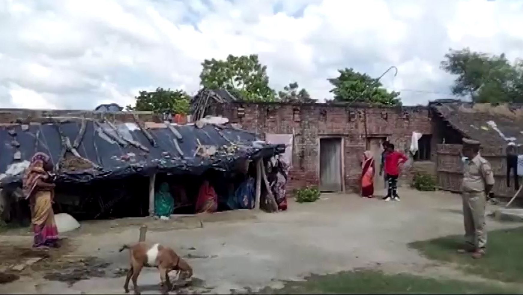 Norte da Índia sofre com ataques de lobos
