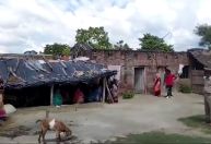 Ataques de lobos no norte da Índia deixam 7 mortos, incluindo crianças