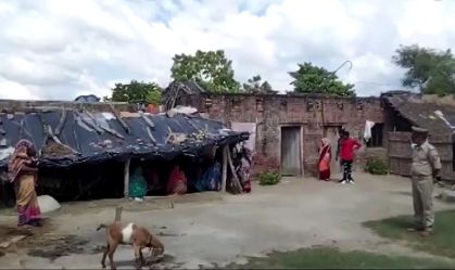 Ataques de lobos no norte da Índia deixam 7 mortos, incluindo crianças