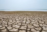 Brasil registra quase 500 municípios em seca severa ou extrema